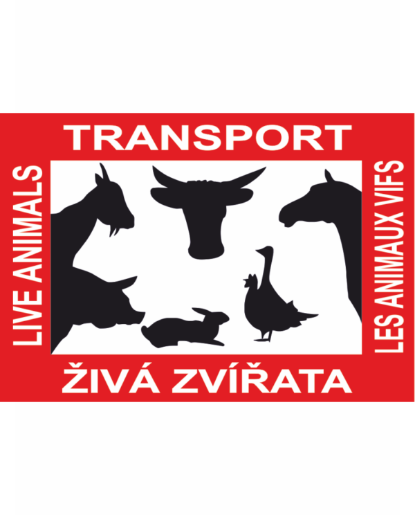 Transport živých zvířat